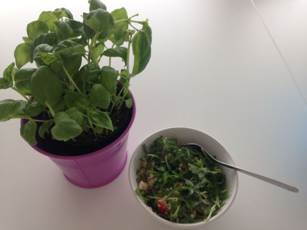 2016-11-14-photo-00000074